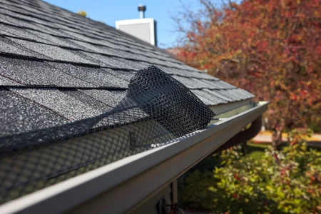 Gutter guards installation service
